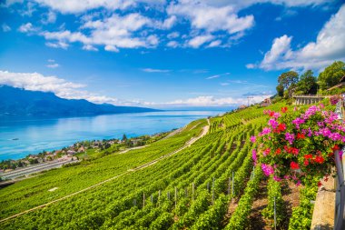 Lavaux wine region with Lake Geneva, Switzerland