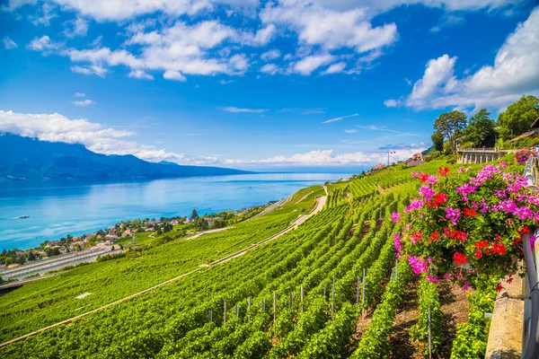 Lavaux wine region with Lake Geneva, Switzerland — Stok fotoğraf