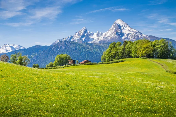 Paisaje idílico en los Alpes con prados verdes frescos y flores — Foto de Stock