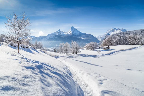 Paesaggio invernale con pista nelle Alpi — Foto Stock