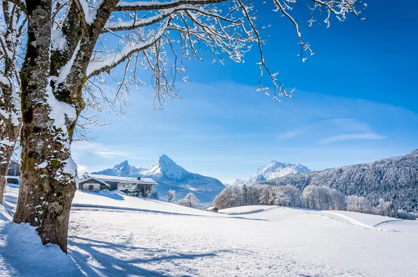 Sielankowy krajobraz w Alpach Bawarskich, Berchtesgaden, Niemcy — Zdjęcie stockowe