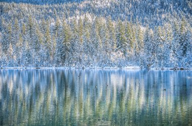 Ağaçlar pastoral kış harikalar diyarı dağ Gölü ve kar ile kaplı