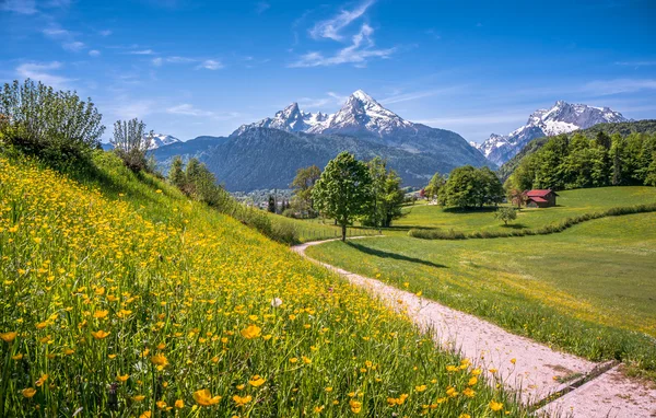 Paesaggio alpino idilliaco con prati verdi, casali e cime innevate — Foto Stock