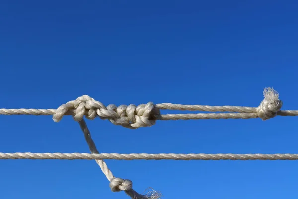 White Rope Knots Blue Background — Stock Photo, Image