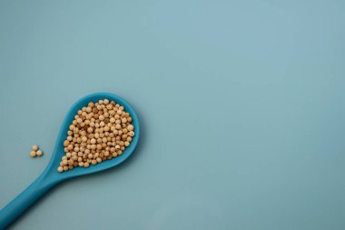 Mavi arka planda mavi kaşıkta beyaz biber..