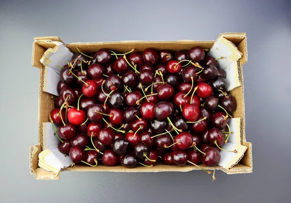 Top View Pile Ripe Cherries Stalks Paper Box Gray Background — Stock Photo, Image