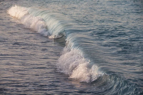 Prachtige Zee Golven Bij Dageraad Oceaan Golven Kust Water Plons — Stockfoto