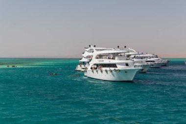 Mısır, 4.10.2025 - Kızıl Deniz 'in turkuaz sularında demirli kar beyazı turistik yatlar, tatilcilerle çevrili. Turistler Kızıl Deniz 'de dalıyor.