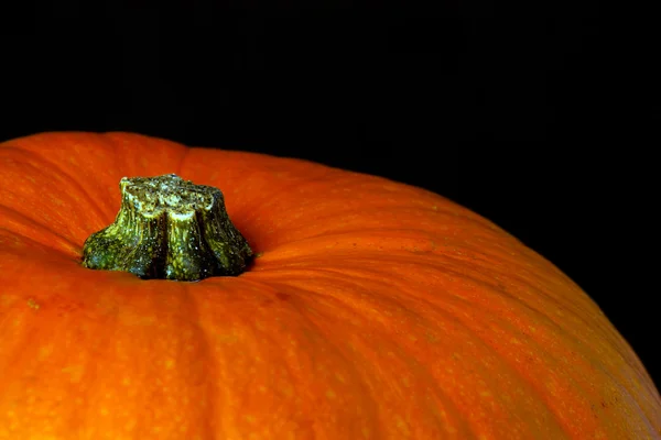 Calabaza sobre un fondo negro. — Foto de Stock