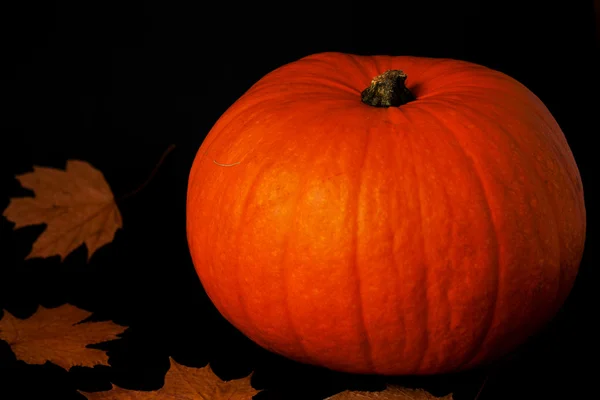 Pumpkin on a black background. — Stock Photo, Image