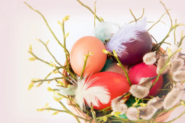Bodegón con huevos de Pascua . — Foto de Stock