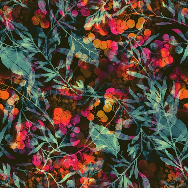 허브, 꽃, 잎, 열매 — 스톡 사진