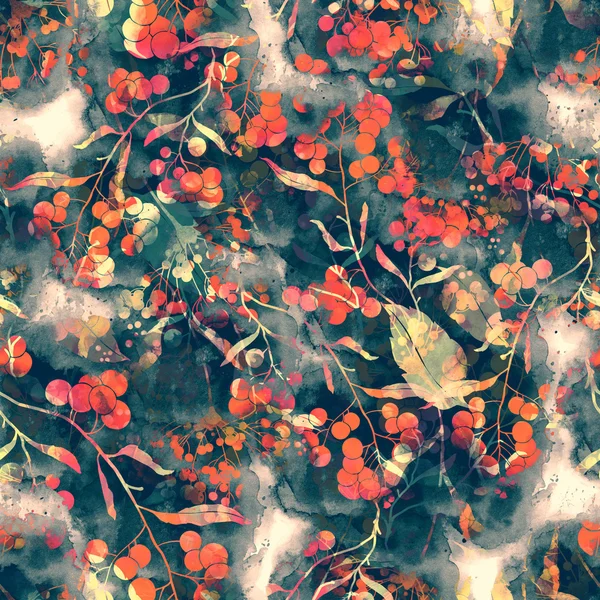 Kräuter, Blumen, Blätter und Beeren — Stockfoto