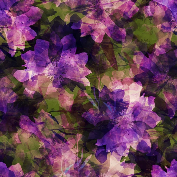 Aquarela flores e ervas — Fotografia de Stock