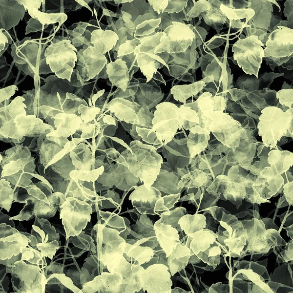 나뭇잎과 나뭇가지의 인쇄물 — 스톡 사진