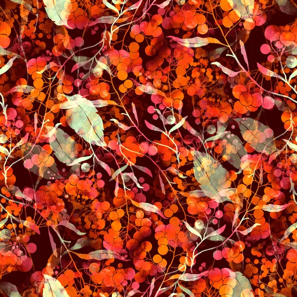허브, 꽃, 잎, 열매 — 스톡 사진