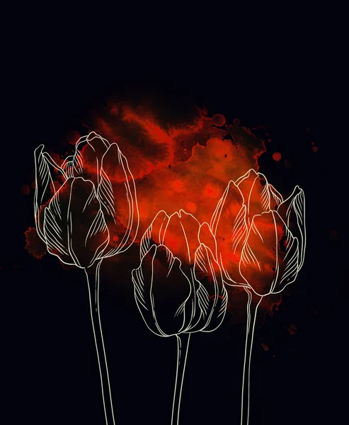 Tulipes aquarelle et contour — Photo