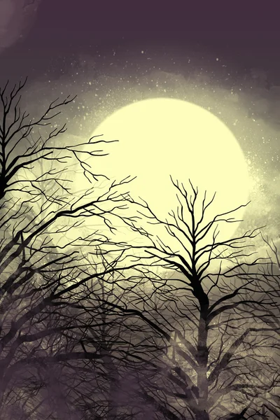 Moonlight Night in Fairy forest — Stockfoto