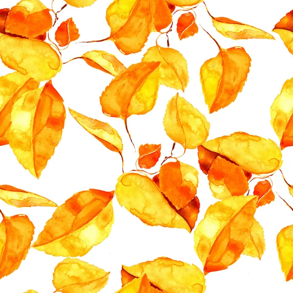 Folhas de outono amarelas no ramo — Fotografia de Stock