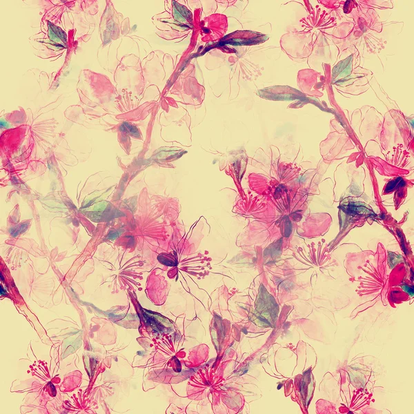 Ντελικάτα Ιαπωνικά άνθη κερασιάς — Φωτογραφία Αρχείου