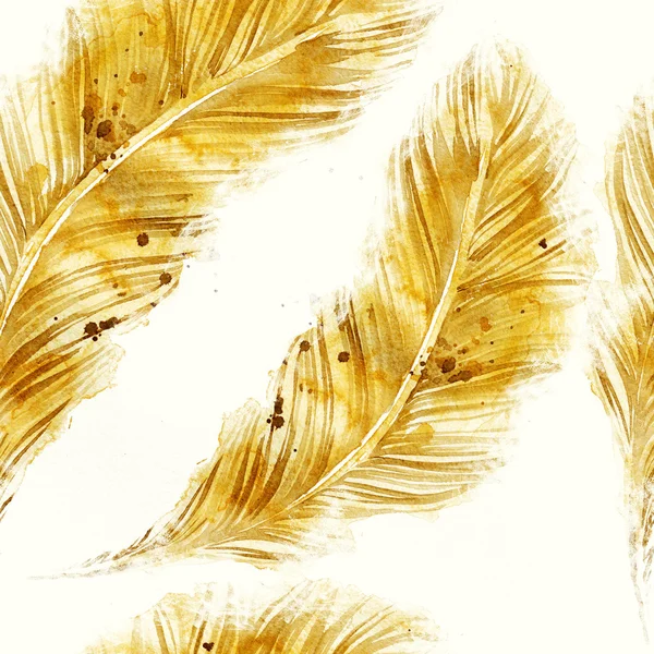 Fantastyczne ptaki akwarela piór — Zdjęcie stockowe