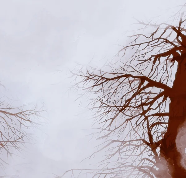 Silhouet van de boom in het bos — Stockfoto