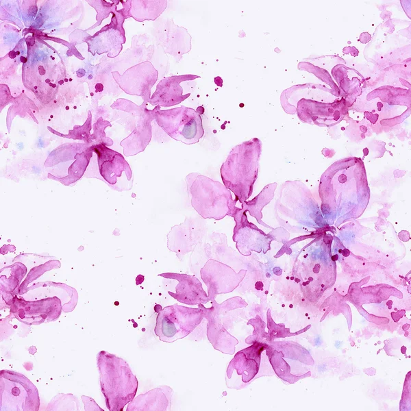 Lillà delicati in fiore — Foto Stock