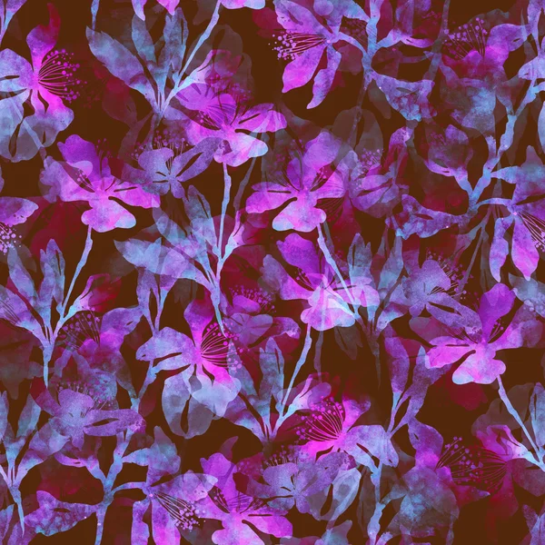 Flowers and leaves Sakura — Stock Photo, Image