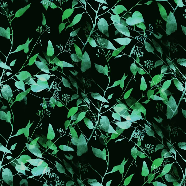 Impronte di foglie di eucalipto silhouette — Foto Stock