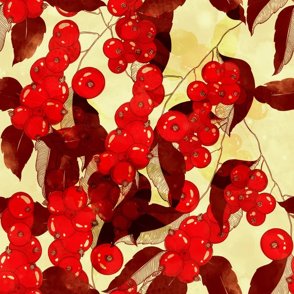 열매와 잎 - 수채화 페인트 — 스톡 사진