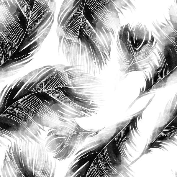 Feathers fantastic birds — Stock Photo, Image