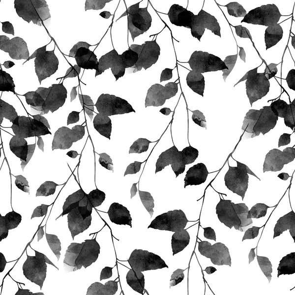 Black and white branches with leaves — Free Stock Photo