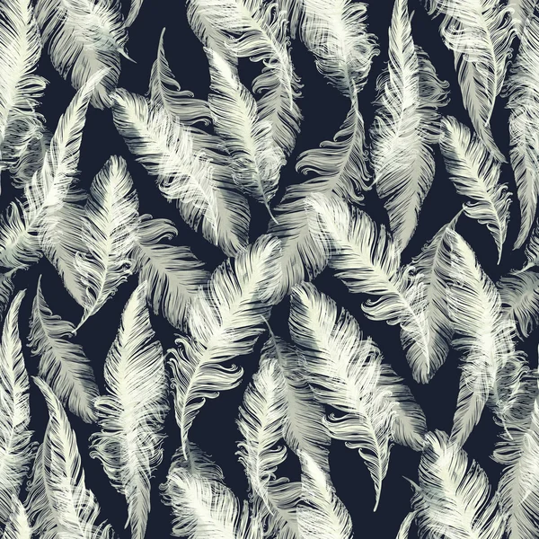 Feathers fantastic birds — Stock Photo, Image