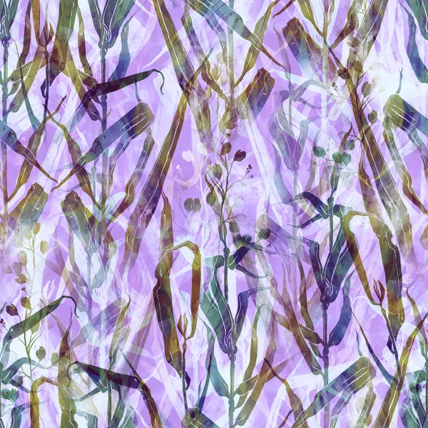 Луговий трави Прованс — стокове фото