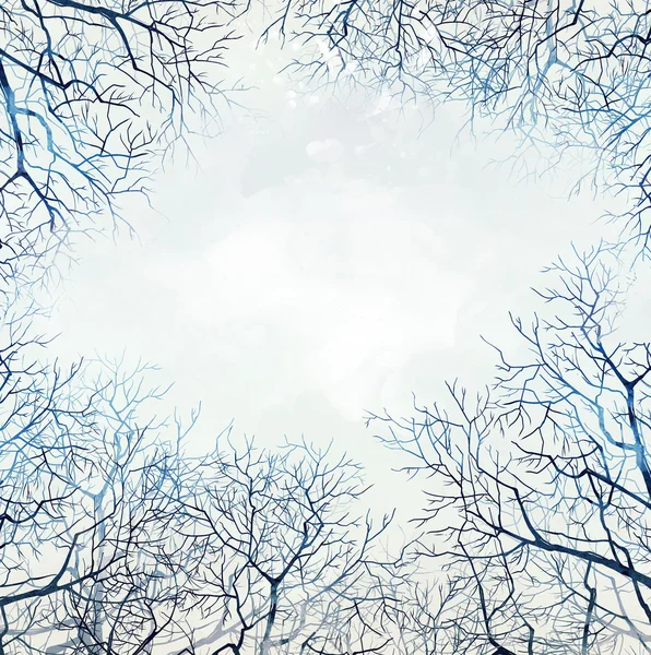 Весенние голые деревья — стоковое фото