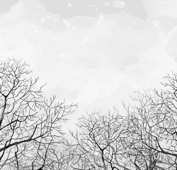 Lente de kale bomen — Stockfoto
