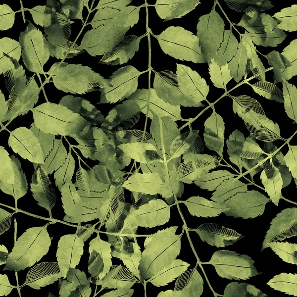 Leaves: botanical pattern — Stock Photo, Image