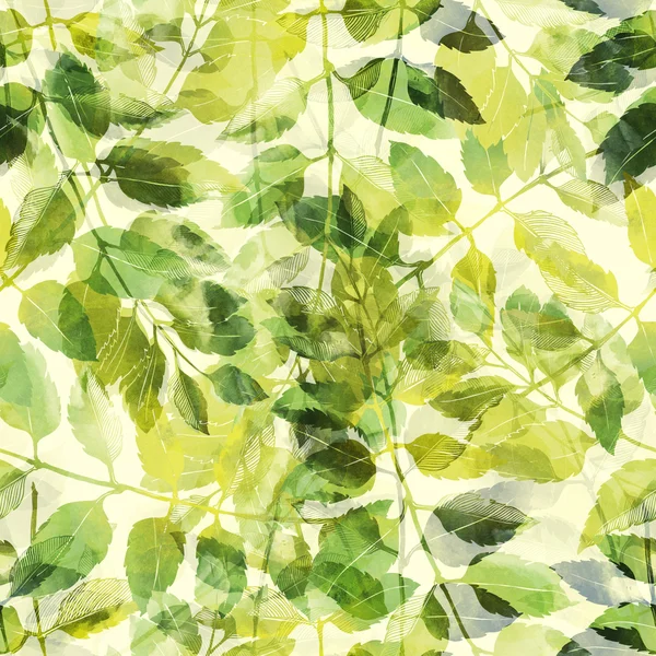 Leaves: botanical pattern — Stock fotografie