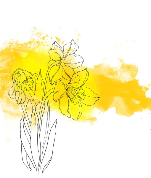 Narcisos de primavera. Marco floral —  Fotos de Stock