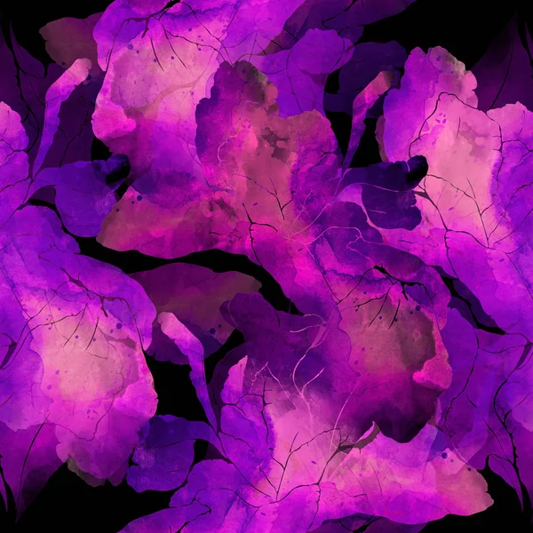 수채화 붓꽃 각인 — 스톡 사진