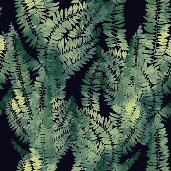 Imprints fantastic herbs — Stock Photo, Image