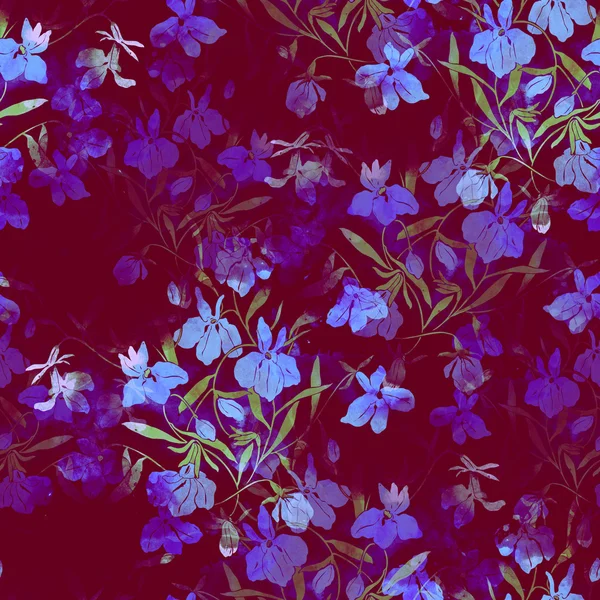 Improntas flores del prado —  Fotos de Stock