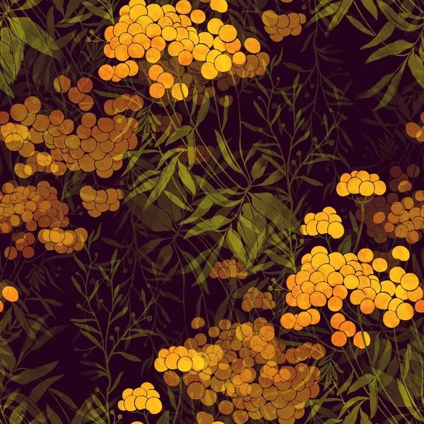 Tansy and grass seamless pattern — Stock Photo, Image