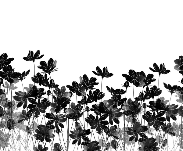 Flores do prado fronteira sem costura — Fotografia de Stock