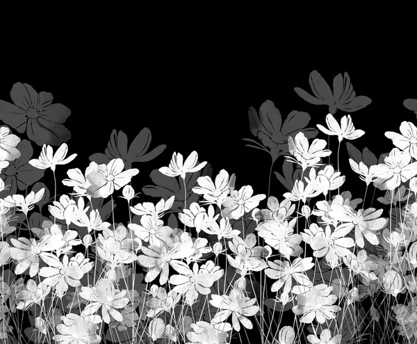 초원 꽃 원활한 국경 — 스톡 사진