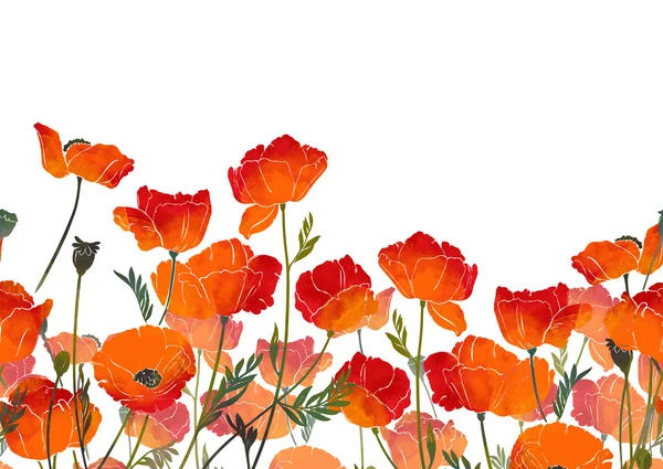 Bright Poppies naadloze grens — Stockfoto