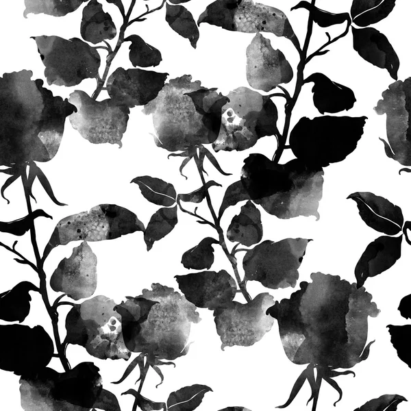 Rose plant seamless pattern — Stock Photo, Image