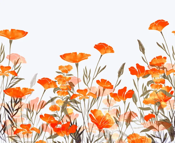 Prado grama flores fronteira — Fotografia de Stock