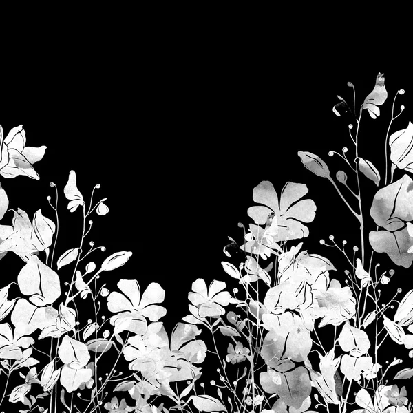 초원 잔디 꽃 테두리 — 스톡 사진