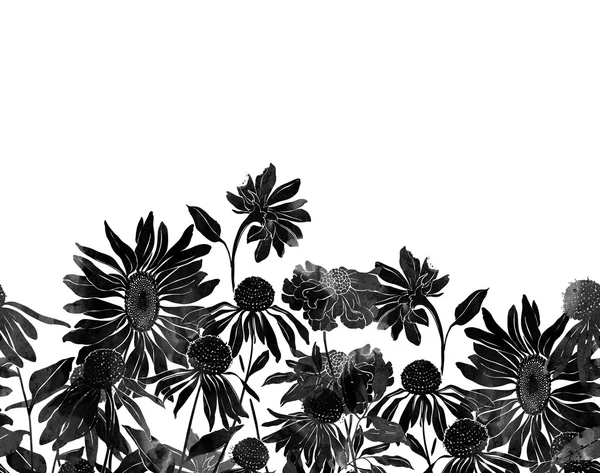 Weide bloemen en kruiden — Stockfoto